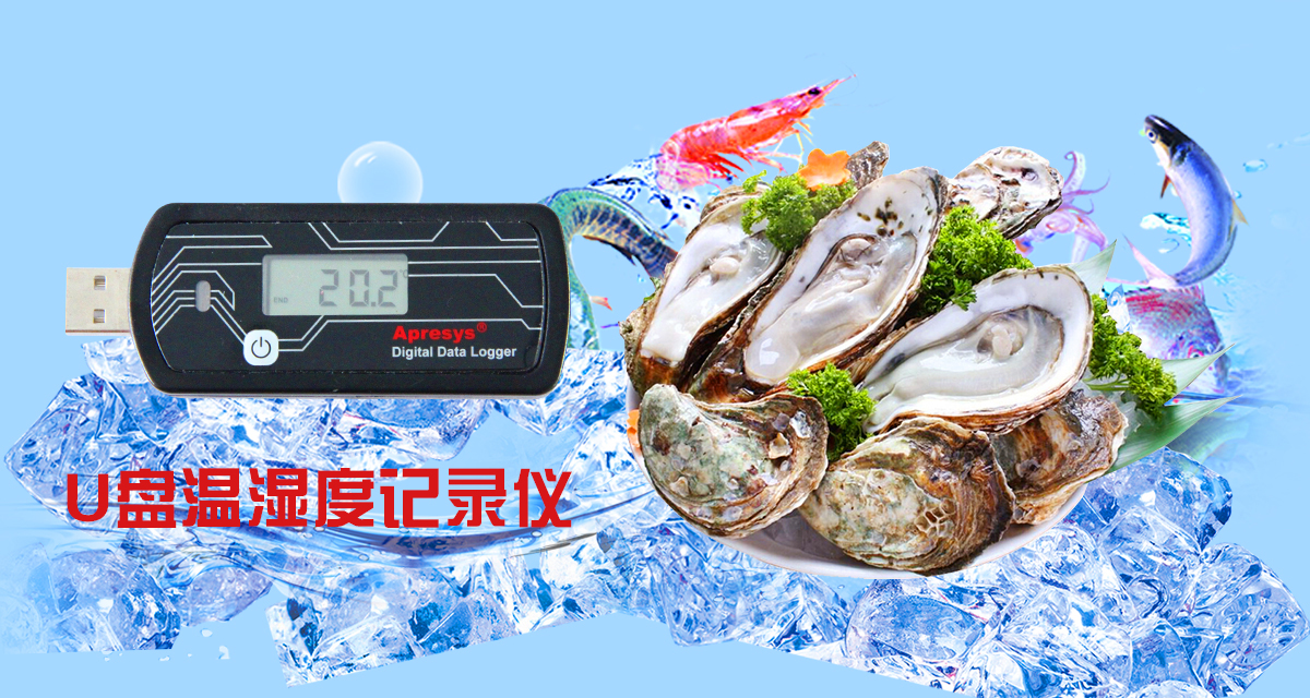 U盤溫濕度記錄儀179-DTH